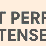 Past Perfect Tense