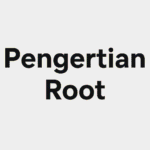Pengertian Root