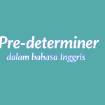 Pre-determiner