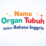 nama organ tubuh