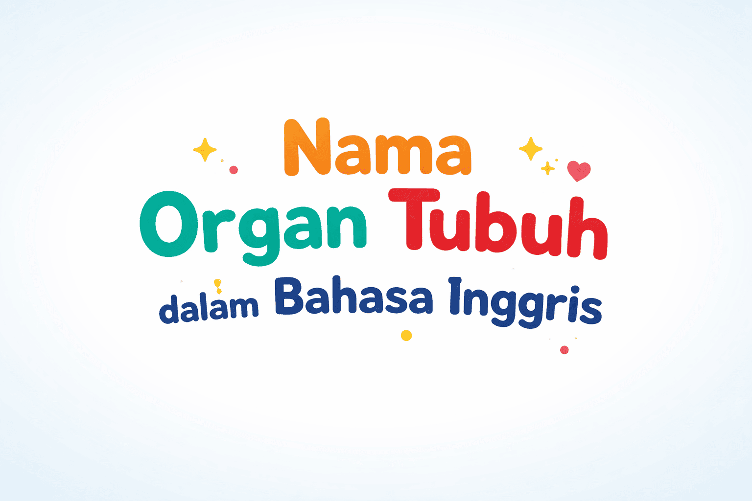nama organ tubuh